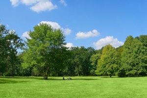 01. Interventi per i quali non è necessario acquisire il nulla osta